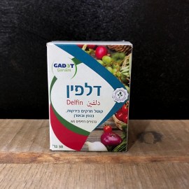 דולפין