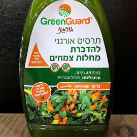 מחלות_GG